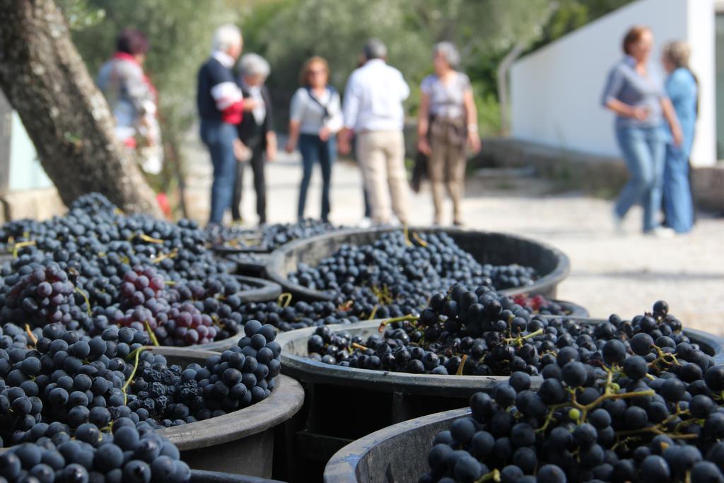 Quinta De Fiaes Villa Vilar de Macada Eksteriør bilde